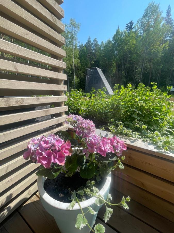Haalia Homes Turku Paeaeskynpesae Kültér fotó